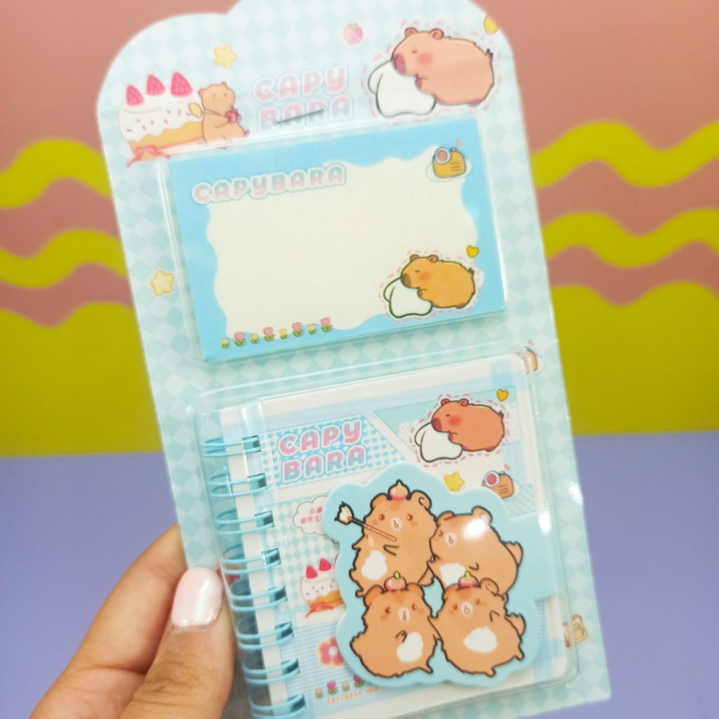 cuadernos notes capy